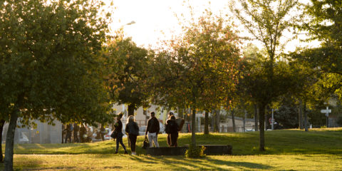 Quartier Parilly 027